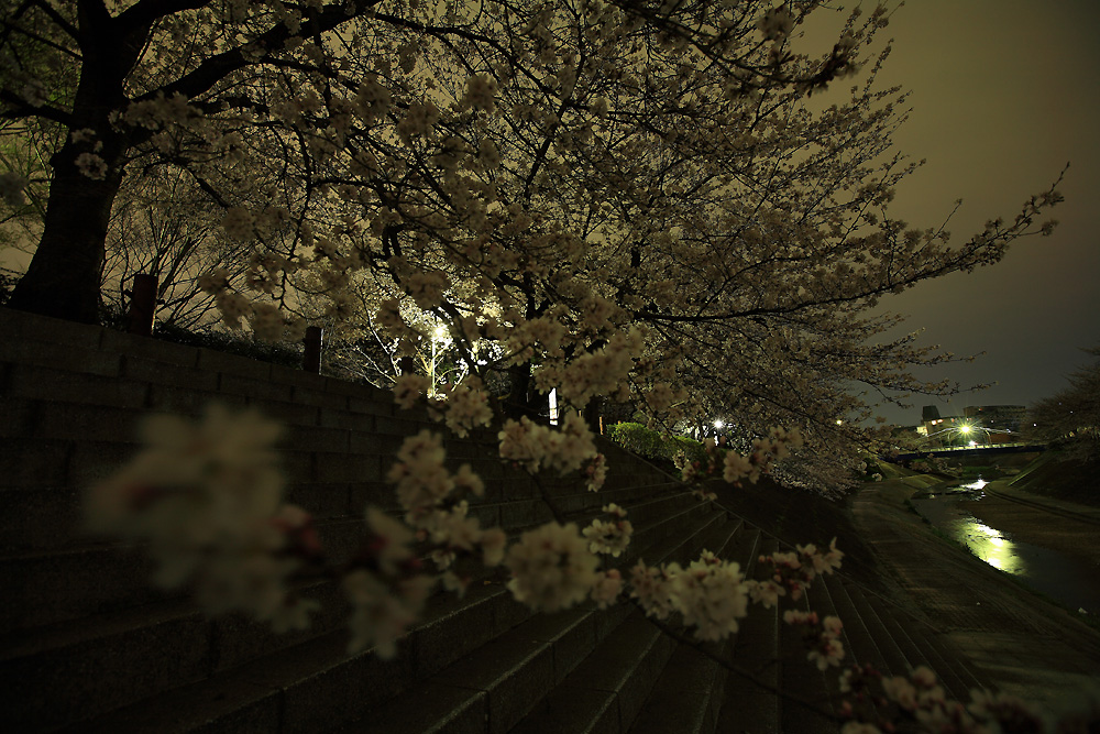 c0032494_20124340.jpg