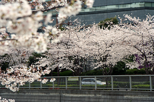 c0025895_11251470.jpg