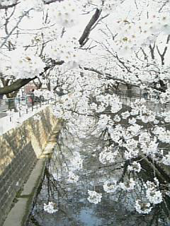 a0090996_12235961.jpg