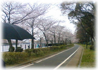 e0014000_629790.jpg