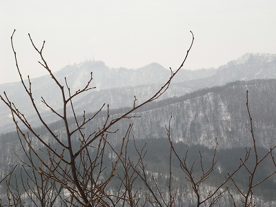 f0157901_23284597.jpg