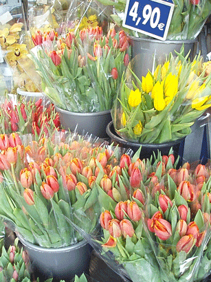 c0129702_6552266.gif