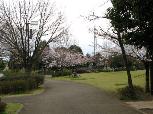 c0011204_23543966.jpg