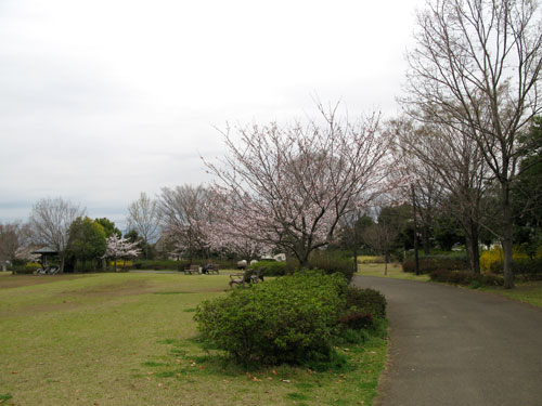 c0011204_23561550.jpg