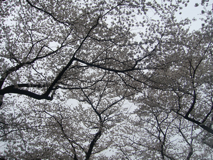 f0033510_2334253.jpg