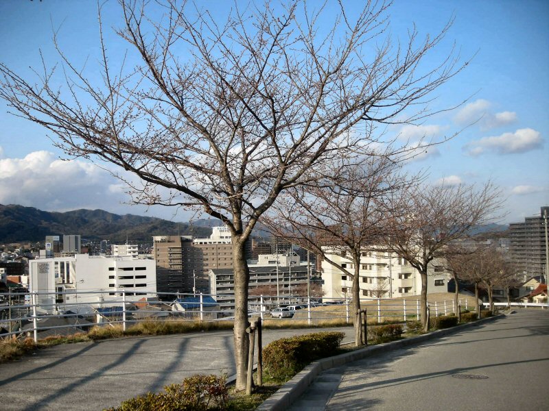 b0057612_22541272.jpg