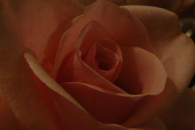 f0056516_1191236.jpg