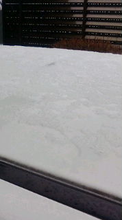 f0126418_10473222.jpg