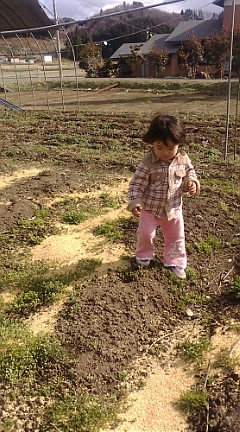 f0126418_1048952.jpg