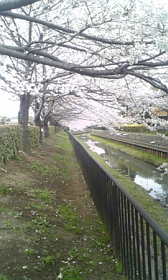 c0089719_19371477.jpg