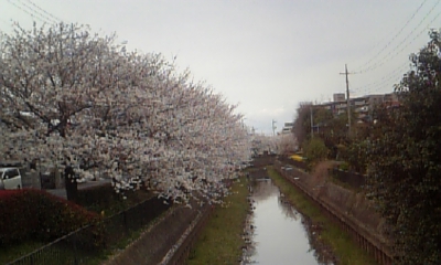 c0089719_1937169.jpg