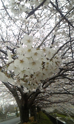 c0089719_19372939.jpg