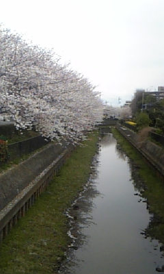 c0089719_19415524.jpg
