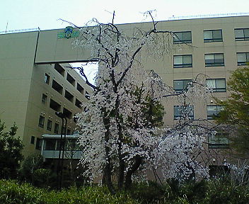 d0026822_17102661.jpg