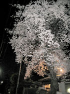 f0097523_1724416.jpg