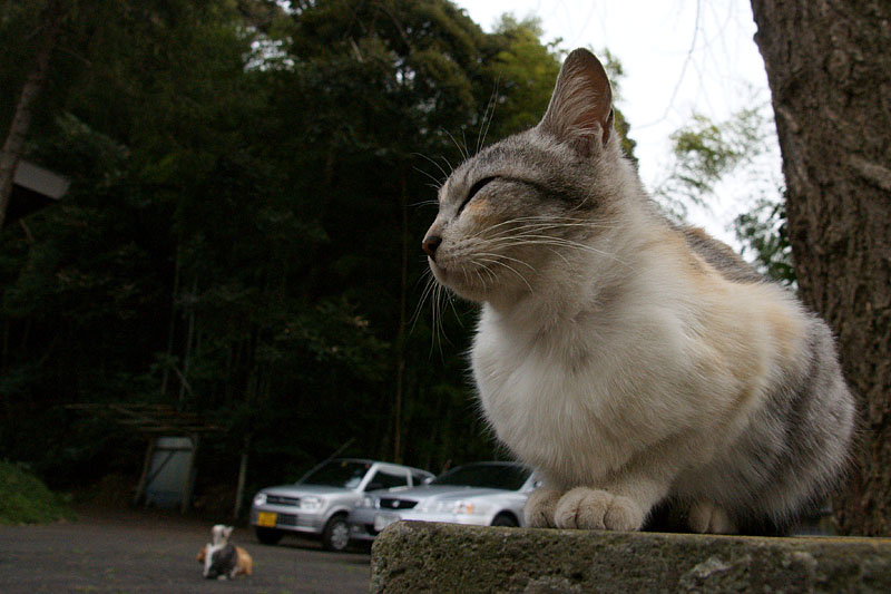 d0089024_10144617.jpg