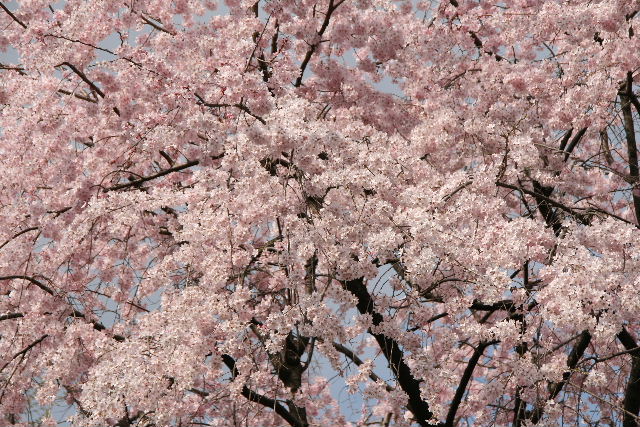 e0064133_01557.jpg