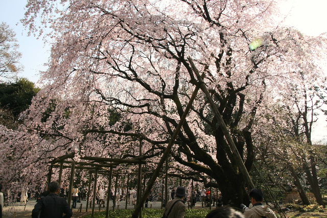 e0064133_025378.jpg