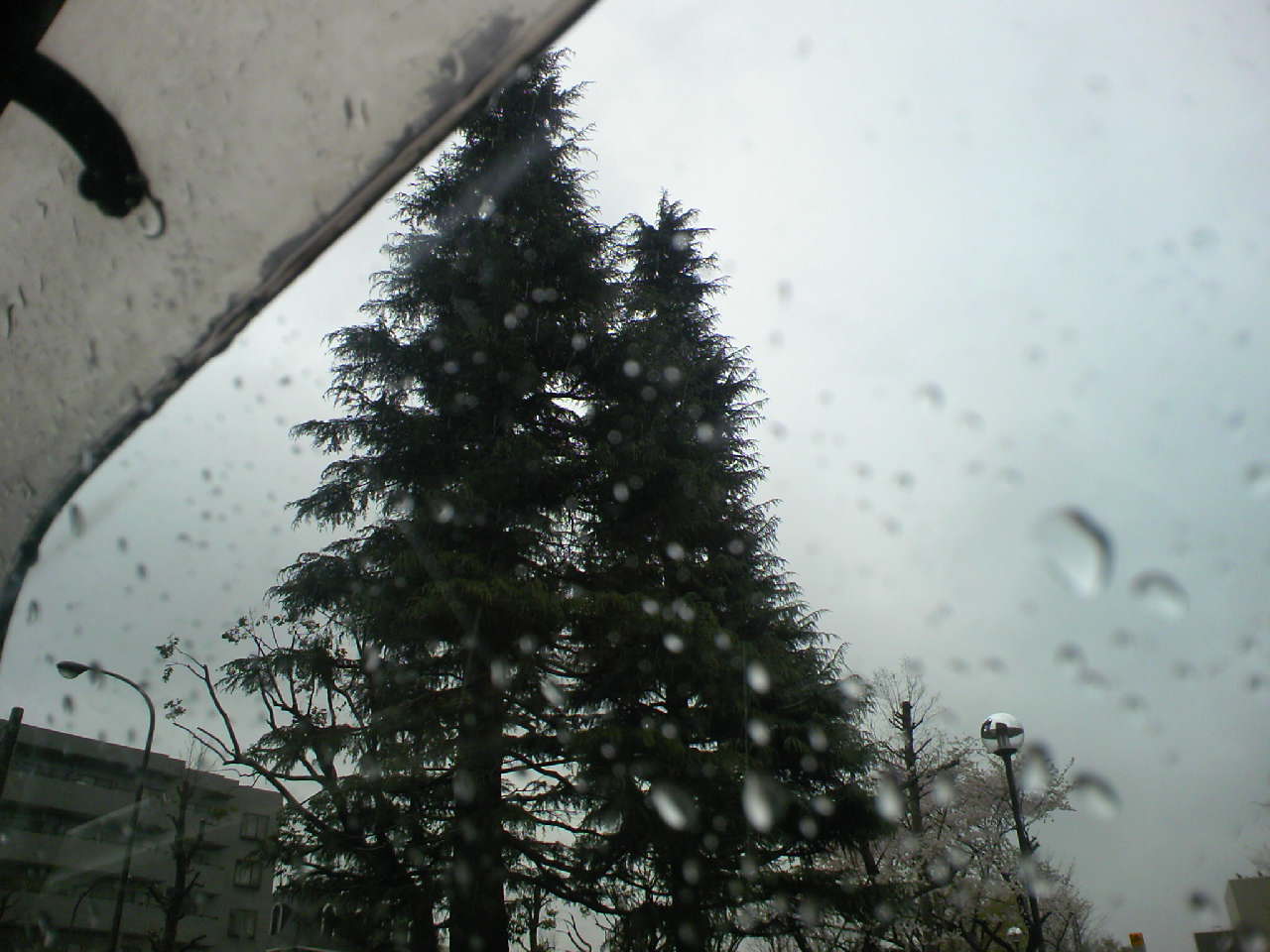 c0125637_8201817.jpg