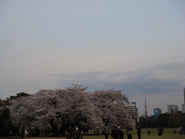 a0046339_22585585.jpg