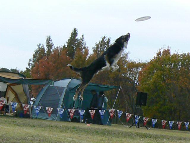 d0077740_15571127.jpg