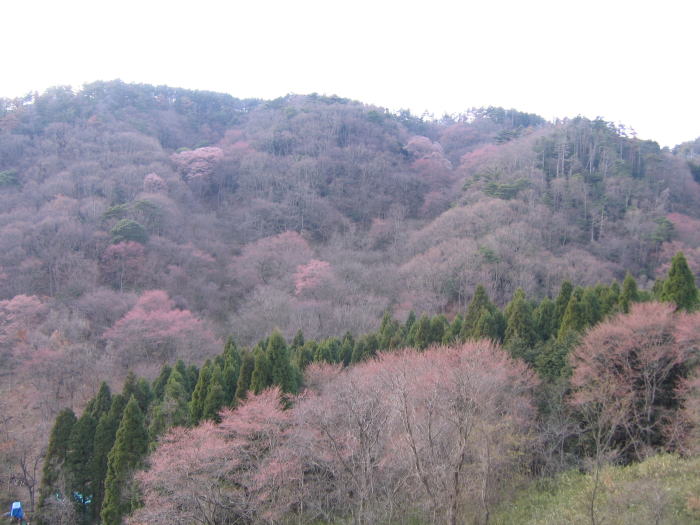 e0049740_20264142.jpg