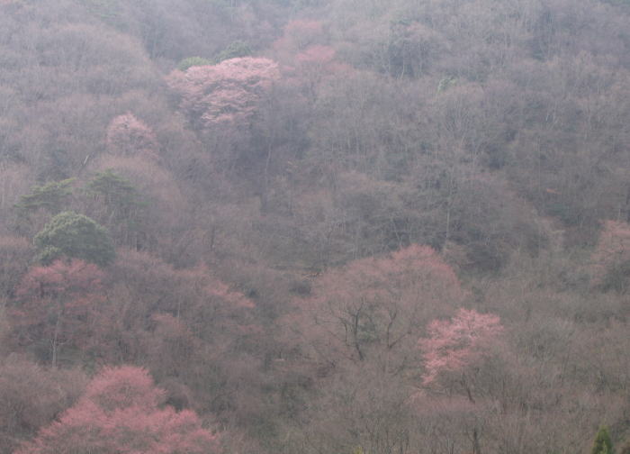 e0049740_20353124.jpg