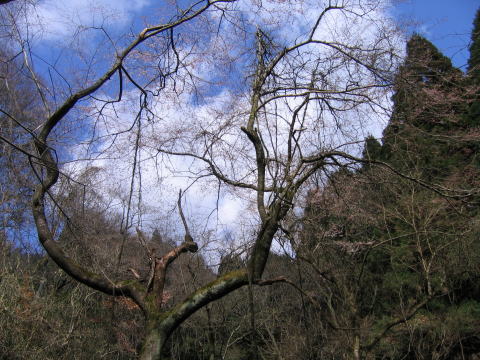 e0049740_20531538.jpg