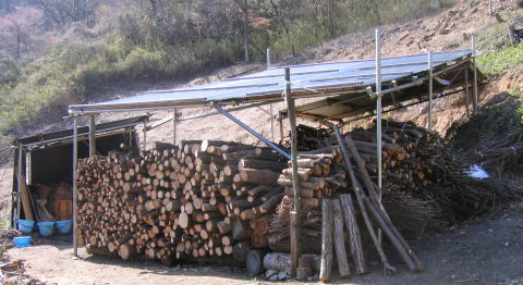 e0049740_2085845.jpg