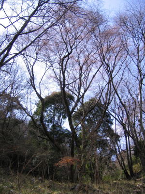 e0049740_21175587.jpg