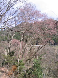e0049740_2124128.jpg