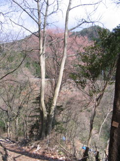 e0049740_2124292.jpg