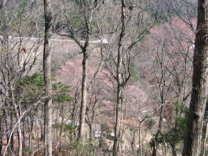 e0049740_21272942.jpg