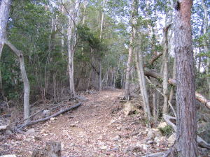 e0049740_21313072.jpg