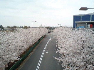 a0035942_084721.jpg