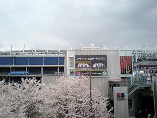 a0035942_09140.jpg
