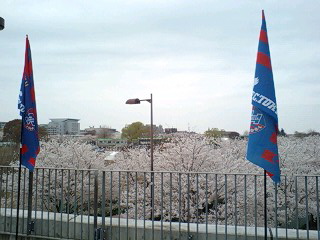 a0035942_091814.jpg