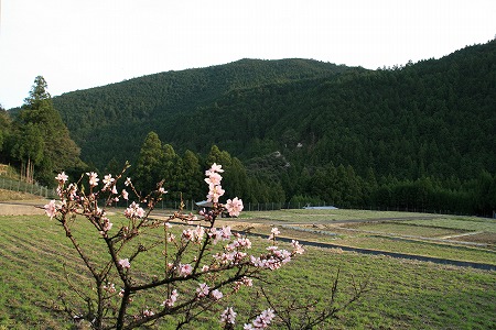 a0054948_2151516.jpg