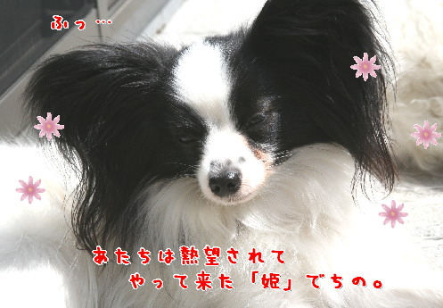 d0013149_9563251.jpg