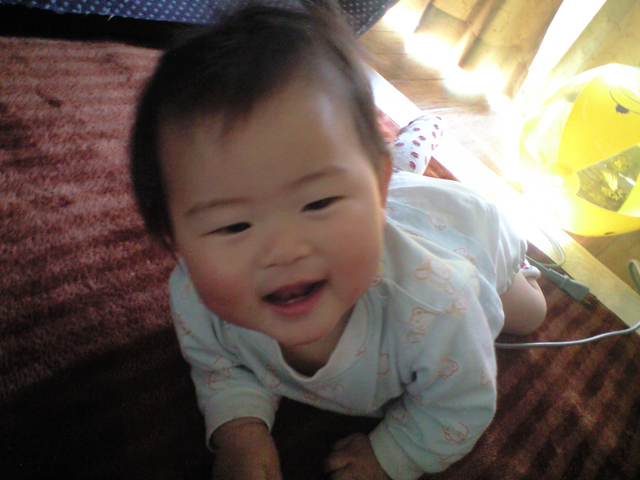 d0114253_13154967.jpg