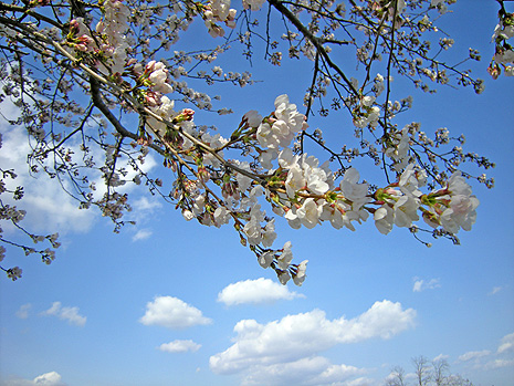 a0001354_22124931.jpg