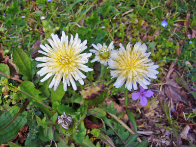 b0045357_922224.jpg