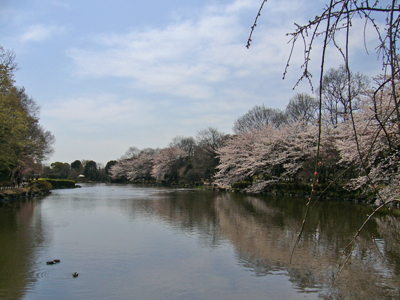 b0045357_9261729.jpg