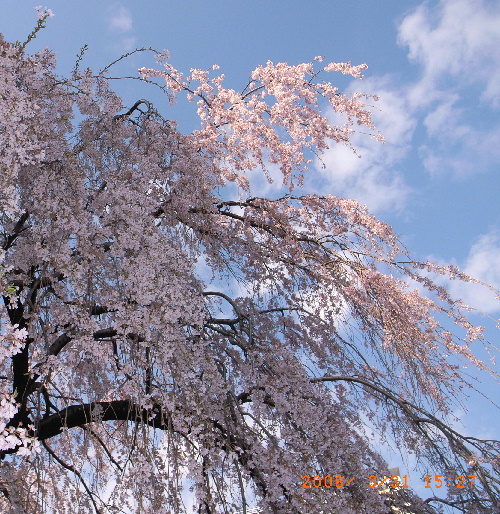 c0050857_22571632.jpg