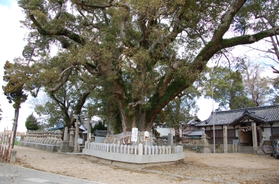 c0108460_1711268.jpg