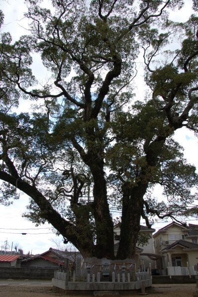 c0108460_175854.jpg