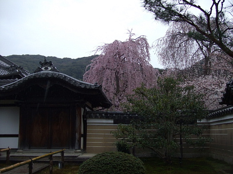 c0107861_16545432.jpg