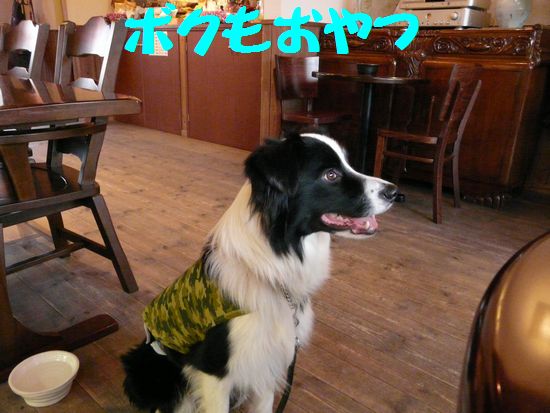 a0100564_2391445.jpg