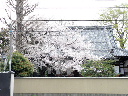f0086169_13513582.jpg