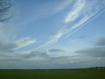 c0117175_6341216.jpg